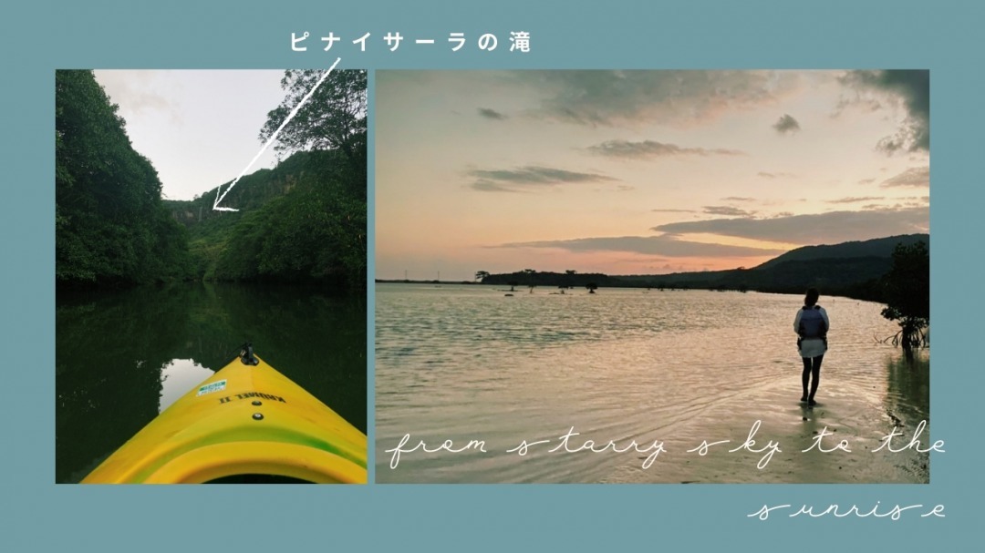 西表島ツアーの様子