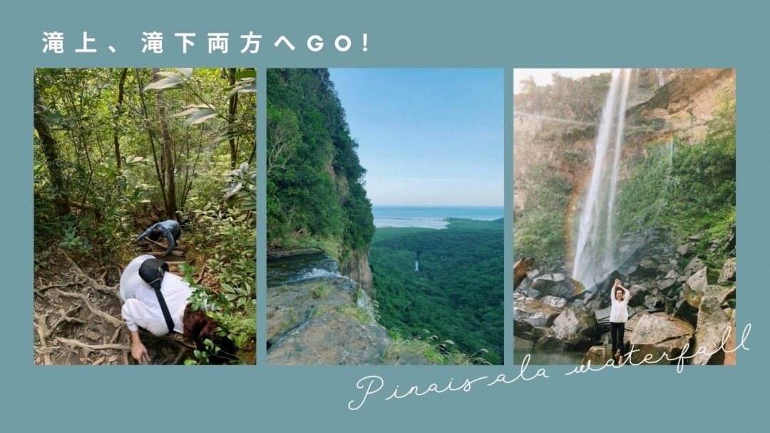 西表島ツアーの様子