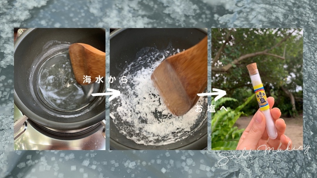 西表島ツアーの様子