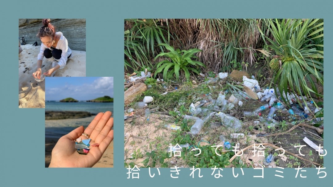 西表島に捨てられているプラスチックごみ
