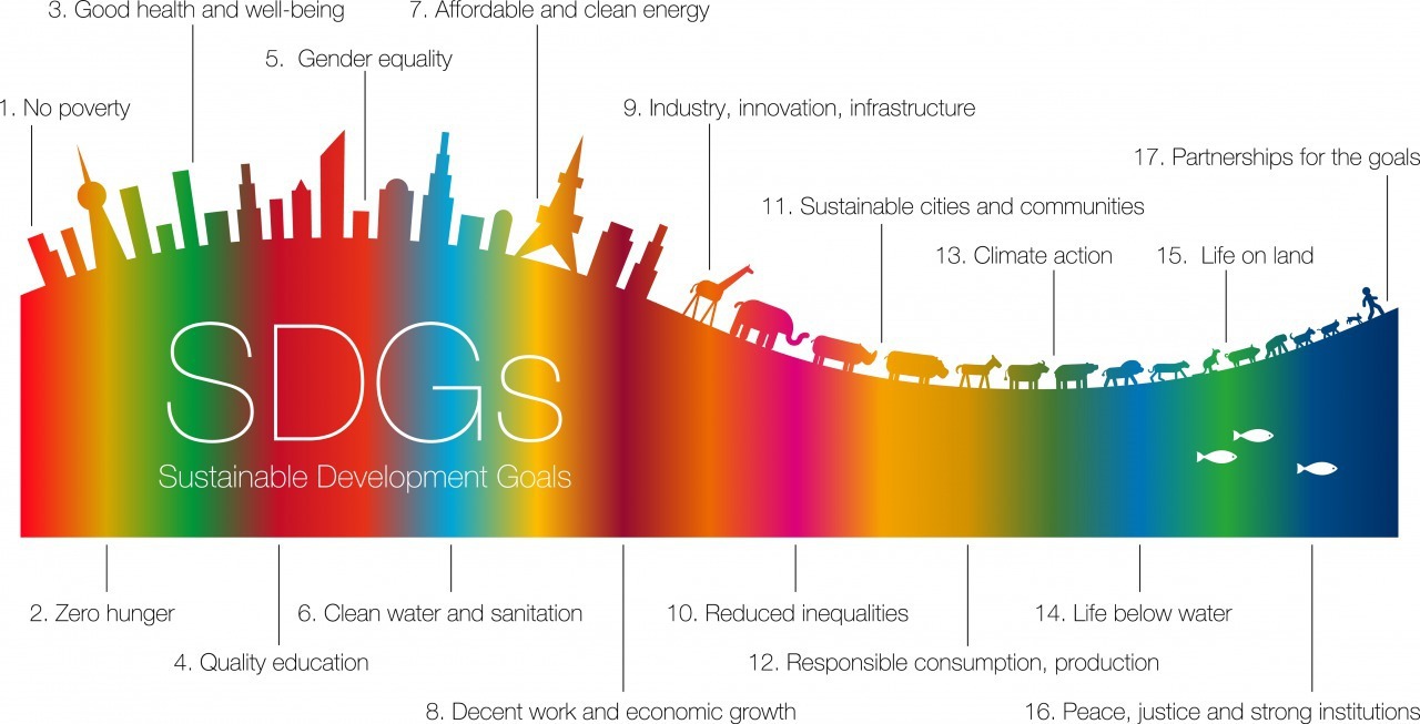 SDGsを解説している図