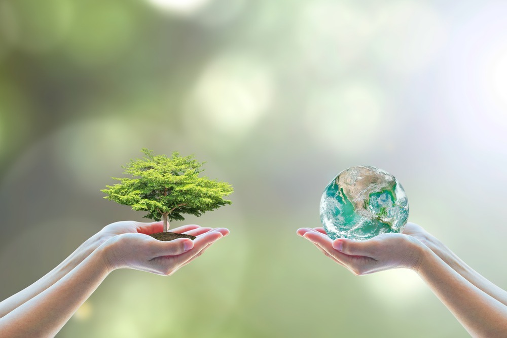 手に植樹と球体のオブジェクトを持っている様子
