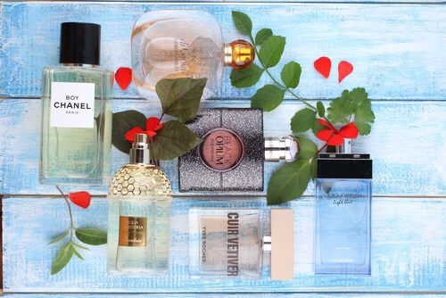 いつもランキングの上位を独占するハイブランド。ファンの多い人気